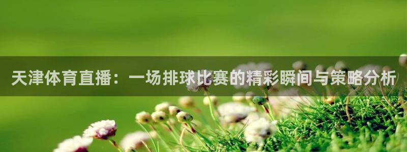山猫 体育：天津体育直播：一场排球比赛的精彩瞬间与策略分析