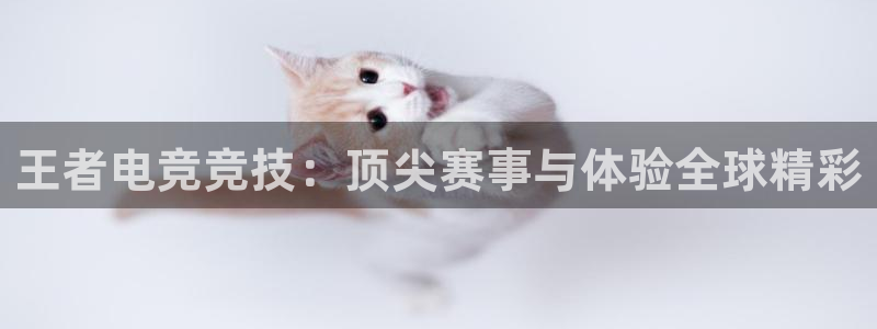 cba直播山猫体育：王者电竞竞技：顶尖赛事与体验全球精彩