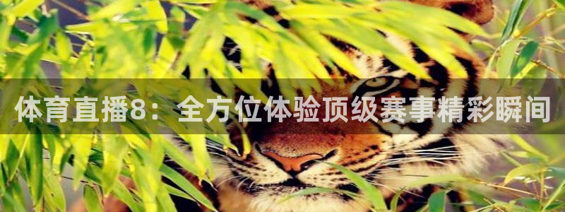 山猫足球直播免费观看：体育直播8：全方位体验顶级赛事精彩瞬间