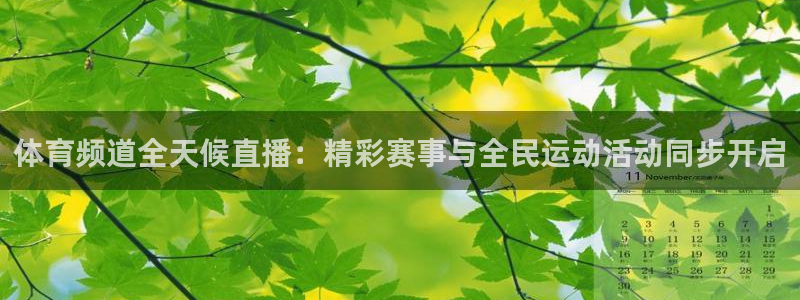 山猫体育360直播平台：体育频道全天候直播：精彩赛事与全民运动活动同步开启