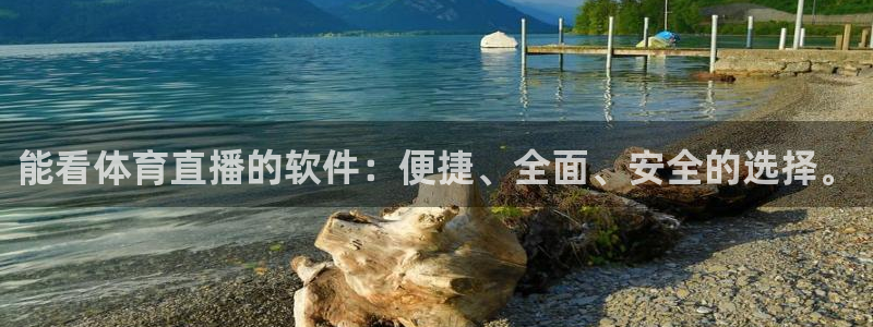 山猫直播篮球：能看体育直播的软件：便捷、全面、安全的选择。