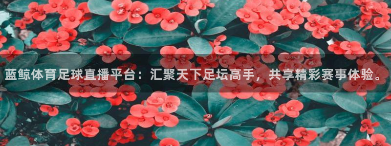 山猫体育赛事直播苹果版下载：蓝鲸体育足球直播平台：汇聚天下足坛高手，共享精彩赛事体验。