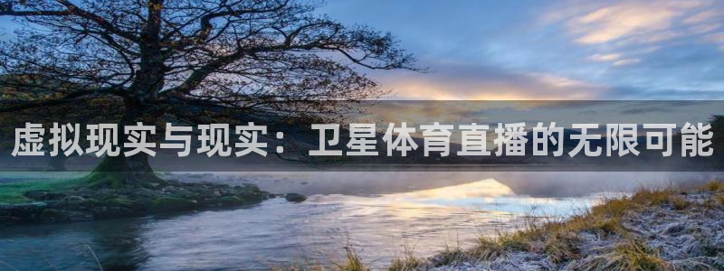 山猫体育免费直播新版.好游网.org：虚拟现实与现实：卫星体育直播的无限可能