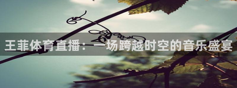 山猫体育免费直播赛事：王菲体育直播：一场跨越时空的音乐盛宴