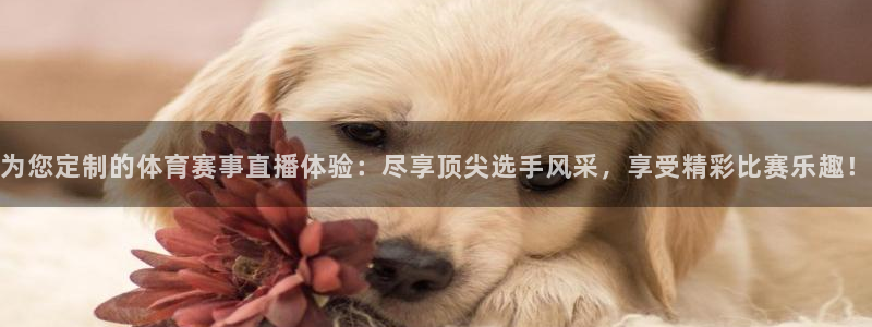 山猫足球赛事直播：为您定制的体育赛事直播体验：尽享顶尖选手风采，享受精彩比赛乐趣！
