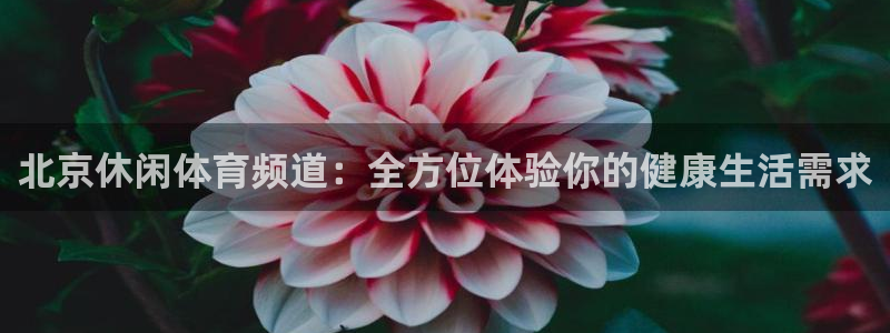 山猫直播在线观看：北京休闲体育频道：全方位体验你的健康生活需求