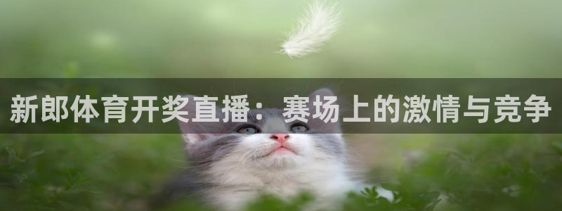 山猫体育直播五大：新郎体育开奖直播：赛场上的激情与竞争