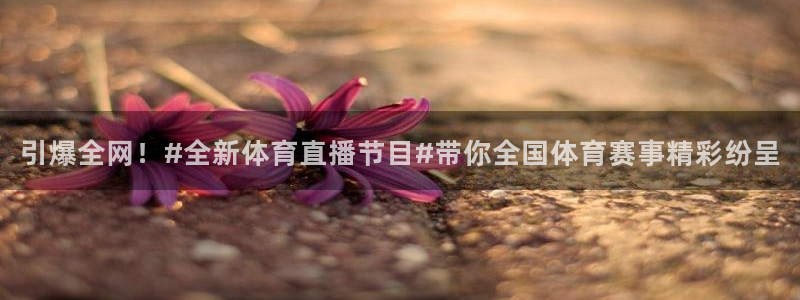 山猫体育免费直播赛事