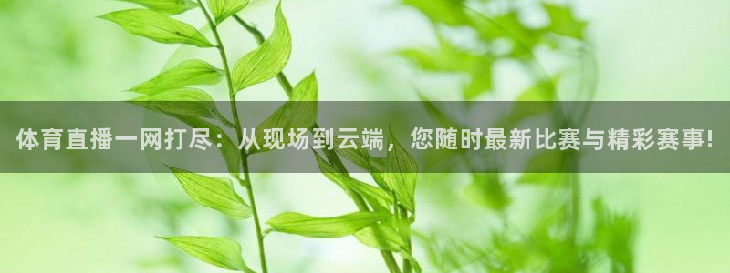 看免费体育直播山猫直播：体育直播一网打尽：从现场到云端，您随时最新比赛与精彩赛事!