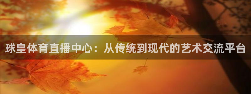 山猫直播足球在线观看视频：球皇体育直播中心：从传统到现代的艺术交流平台
