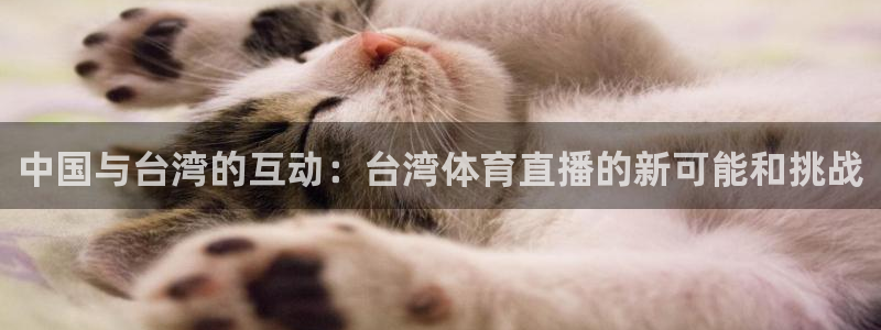 山猫体育nba直播：中国与台湾的互动：台湾体育直播的新可能和挑战